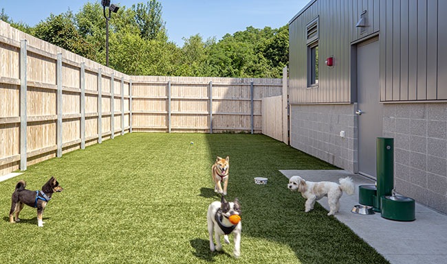 Fetch Dog Park and On Site Dog Daycare at One North